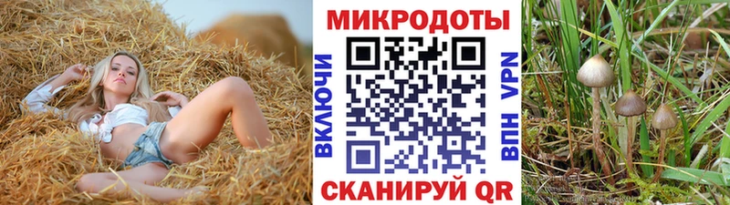 где продают Строитель Галлюциногенные грибы мухоморы